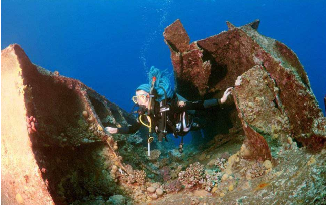 沉船|怎样快速让文物价格翻倍？他发现沉船里100万件文物，砸了65万件