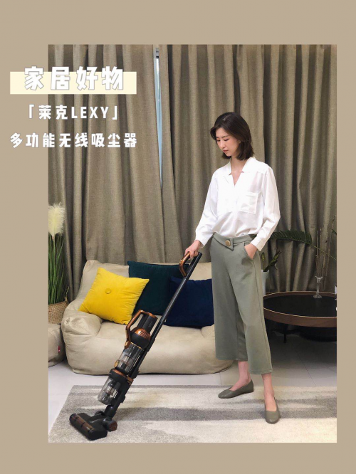 莱克立式吸尘器m12max:专业清洁,打造健康高品质生活