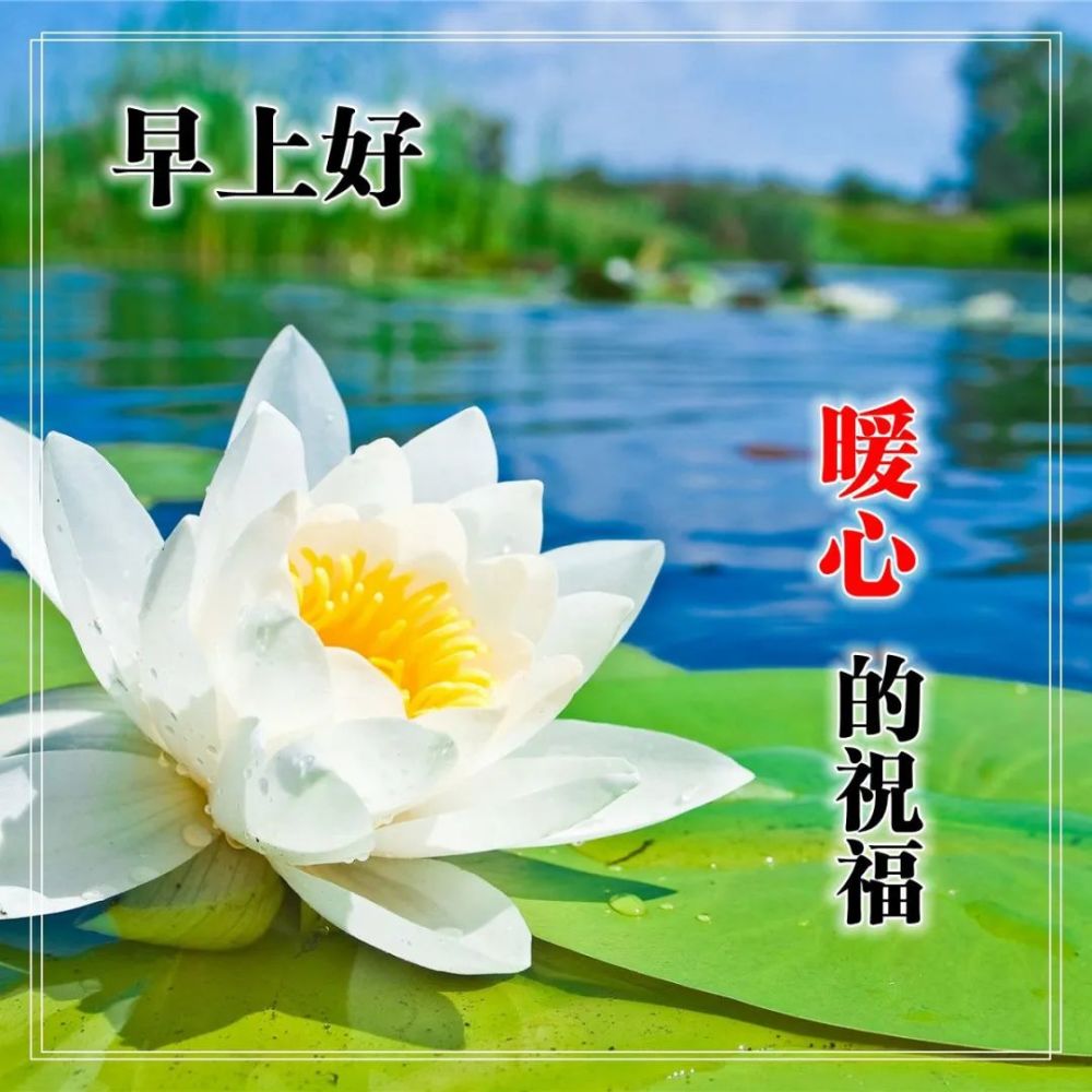 发朋友圈超赞的早安正能量句子精致美好的早上好问候静态图片