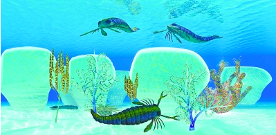 地球|地球大陆正在分裂，一片新海洋正孕育而生，第八大洲或将形成