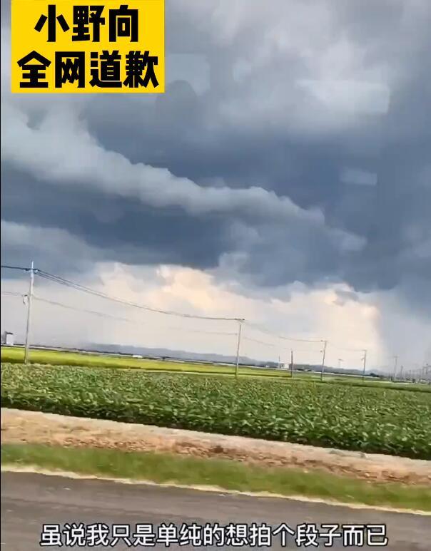 网红|百万粉丝大网红丢人丢到日本去了！自导自演蹭婚礼的闹剧