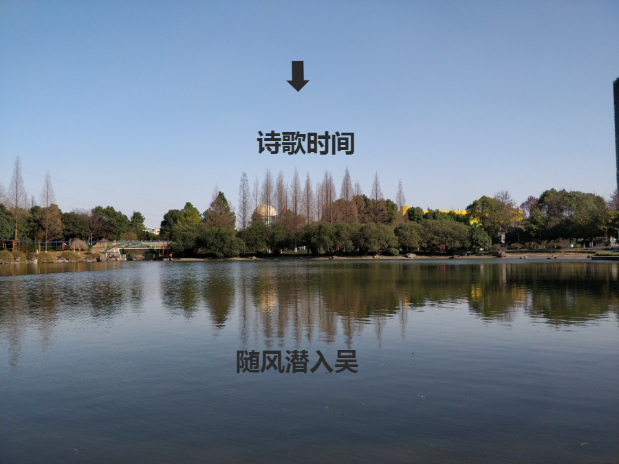 长江|二十年前的诗都是陈列品，大家看看能大放异彩吗？