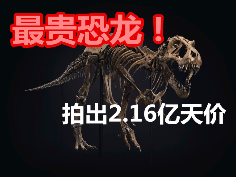 化石|2.16亿元！史上最贵恐龙化石横空出世