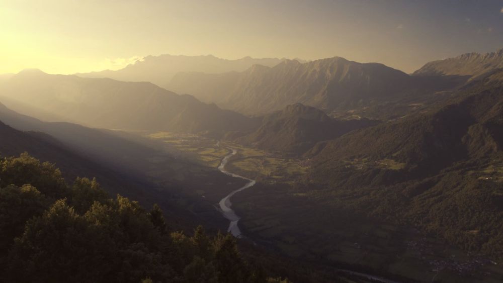 化石|2.16亿元！史上最贵恐龙化石横空出世