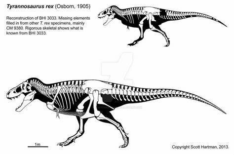 化石|2.16亿元！史上最贵恐龙化石横空出世