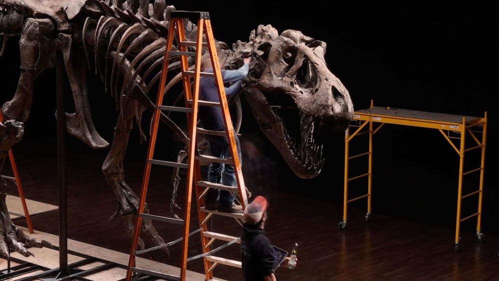 化石|2.16亿元！史上最贵恐龙化石横空出世