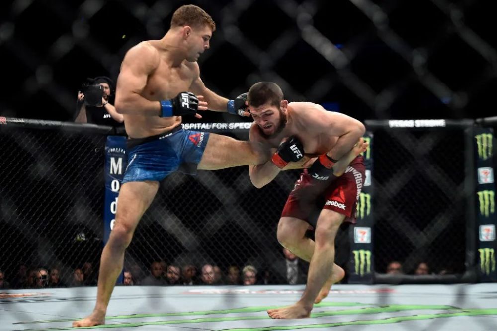 迈克尔钱德勒我已经为击败哈比布和盖奇制定好了战术