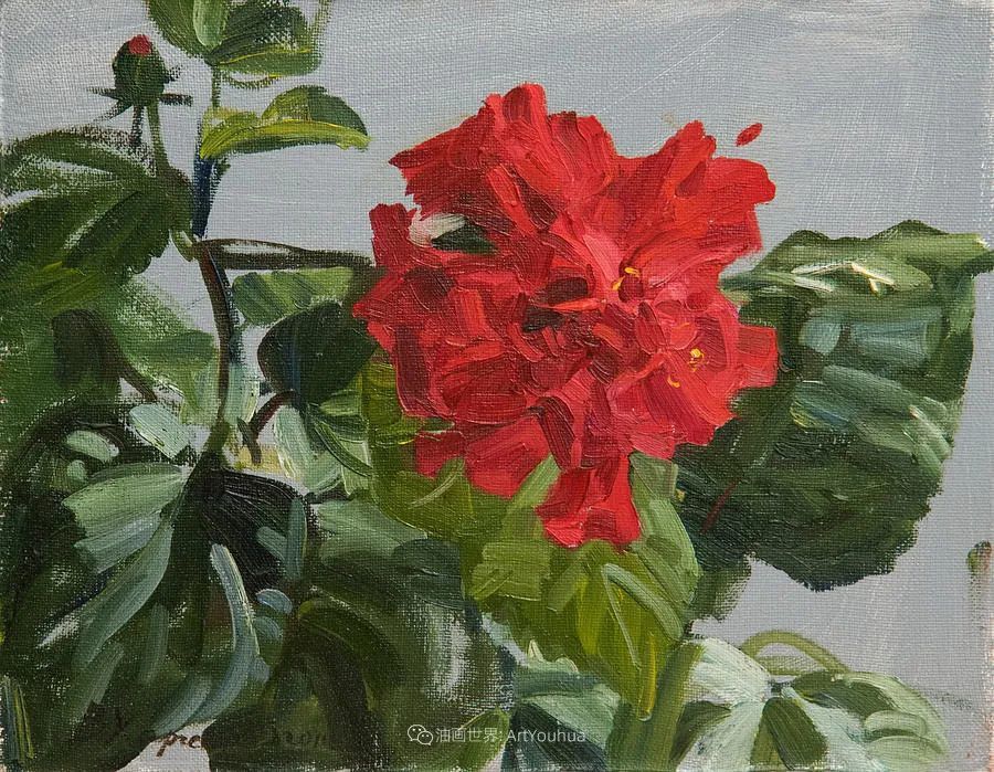 维多利亚·哈尔琴科|她的花儿总带着阳光，让人看了心都敞亮了！