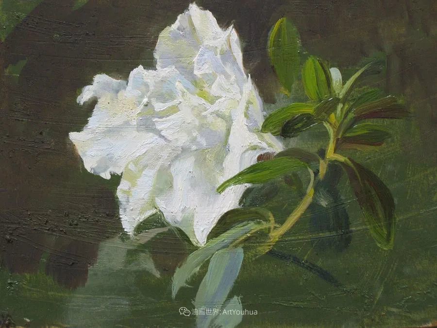 维多利亚·哈尔琴科|她的花儿总带着阳光，让人看了心都敞亮了！