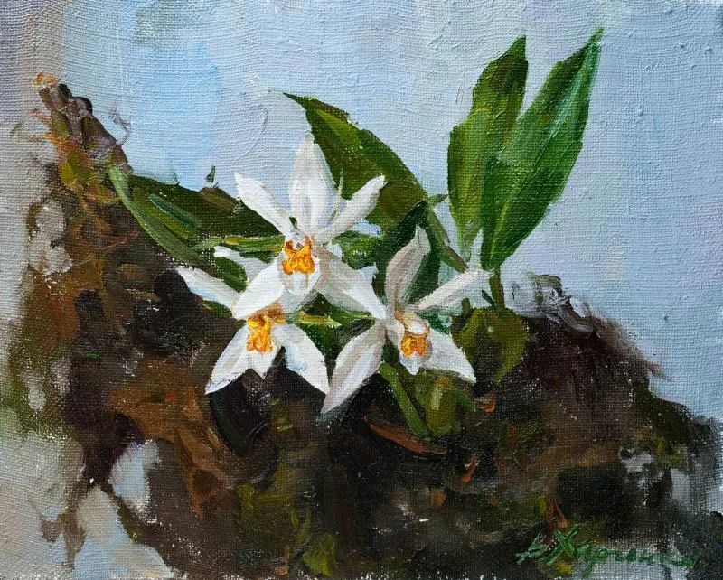 维多利亚·哈尔琴科|她的花儿总带着阳光，让人看了心都敞亮了！