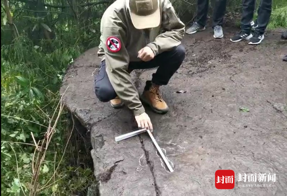 恐龙|5岁恐龙小迷弟四川通江发现恐龙足迹 专家：系四川盆地北部边缘首次发现
