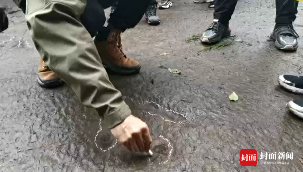 恐龙|5岁恐龙小迷弟四川通江发现恐龙足迹 专家：系四川盆地北部边缘首次发现