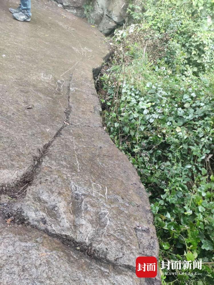 恐龙|5岁恐龙小迷弟四川通江发现恐龙足迹 专家：系四川盆地北部边缘首次发现