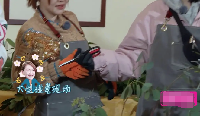 赵丽颖|《中餐厅》赵丽颖递刀动作再惹争议，刀刃迎面冲人，细节见素质