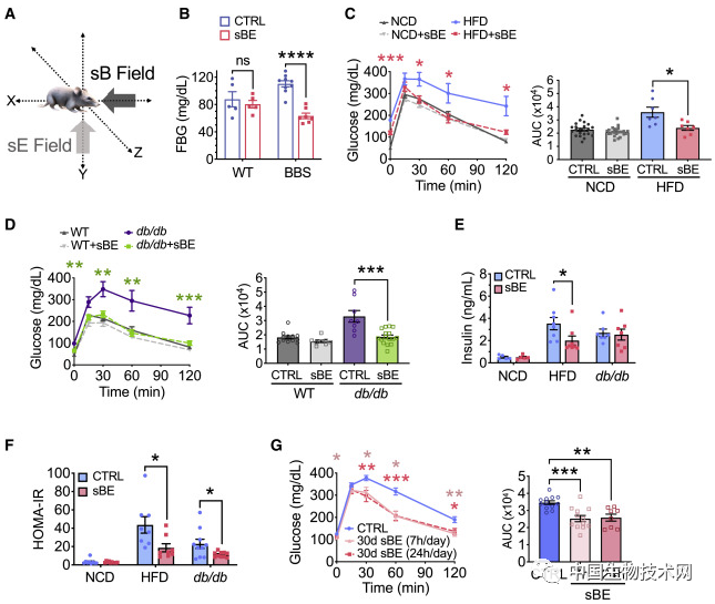 电磁场|意外发现！暴露于电磁场中可以治疗2型糖尿病！