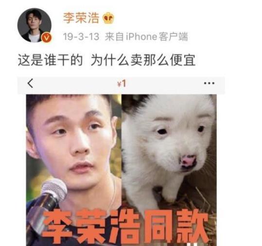 李荣浩|杨丞琳晒狗界李荣浩表思念，这些明星也有同款撞脸，最服周冬雨