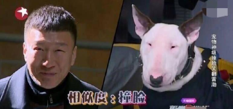 李荣浩|杨丞琳晒狗界李荣浩表思念，这些明星也有同款撞脸，最服周冬雨