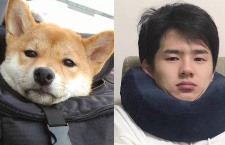 李荣浩|杨丞琳晒狗界李荣浩表思念，这些明星也有同款撞脸，最服周冬雨