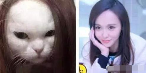 李荣浩|杨丞琳晒狗界李荣浩表思念，这些明星也有同款撞脸，最服周冬雨