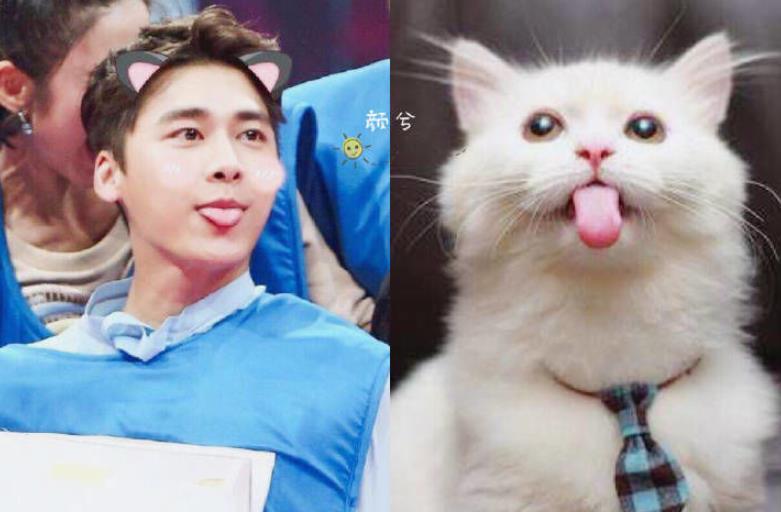 李荣浩|杨丞琳晒狗界李荣浩表思念，这些明星也有同款撞脸，最服周冬雨