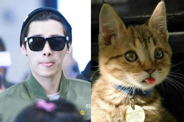 李荣浩|杨丞琳晒狗界李荣浩表思念，这些明星也有同款撞脸，最服周冬雨