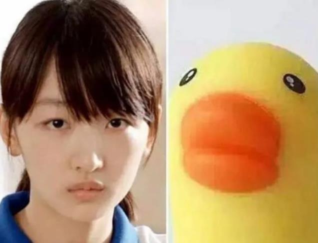 李荣浩|杨丞琳晒狗界李荣浩表思念，这些明星也有同款撞脸，最服周冬雨