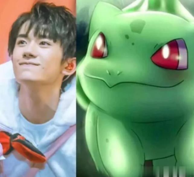 李荣浩|杨丞琳晒狗界李荣浩表思念，这些明星也有同款撞脸，最服周冬雨