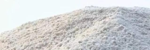 西洋海笋|种菜不用水，一棚年赚30万