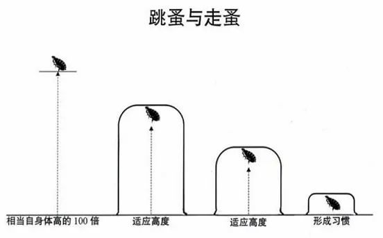 芙蓉姐姐|43岁芙蓉姐姐近况曝光引热议：你不认命的样子，真好看