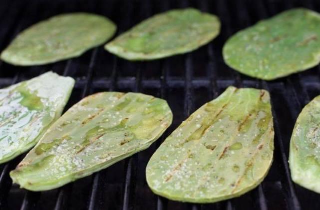 仙人掌|同样是血肉之躯，直接嚼全是刺的仙人掌，骆驼真的不痛吗？