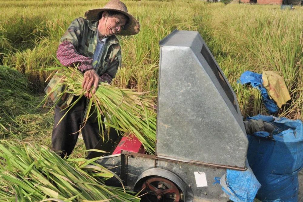 掌握了这些知识水稻脱粒机的常见故障你都可以轻松解决