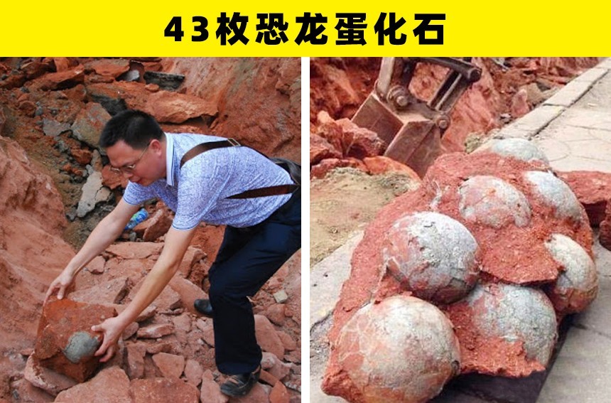 古物|工人们在施工的时候，发现的8个古物或神秘事物