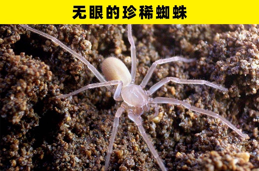 古物|工人们在施工的时候，发现的8个古物或神秘事物