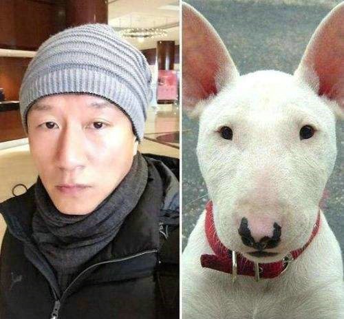 狗界明星脸众多,只有李荣浩被老婆调侃