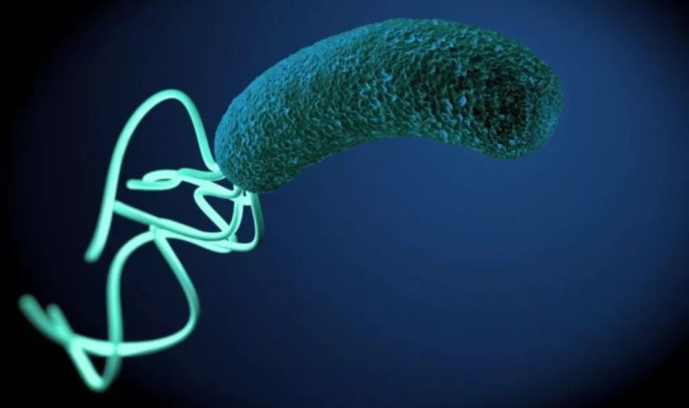 胃病|幽门螺杆菌很怕2物，小米和南瓜往后站，你若爱吃，胃病远离你