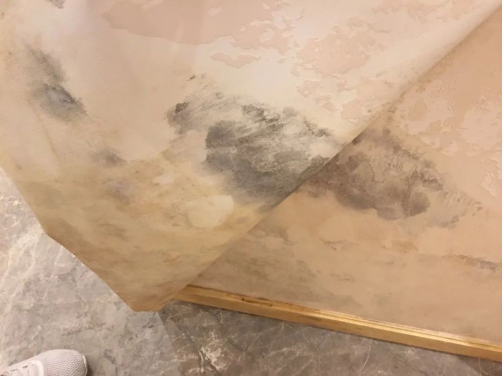 质量问题“无修无止”？上海龙湖天璞房屋大面积发霉引发业主维权 - 第5张图片