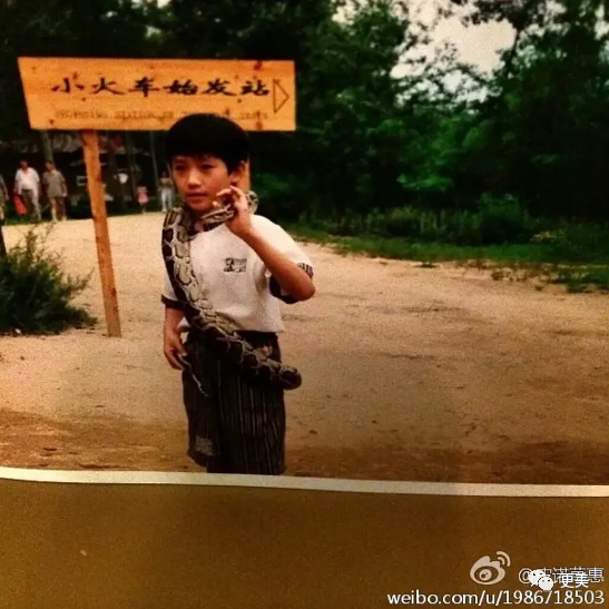 朱一龙|朱一龙隐婚生子还疑似移情女演员？他摊上大事了…