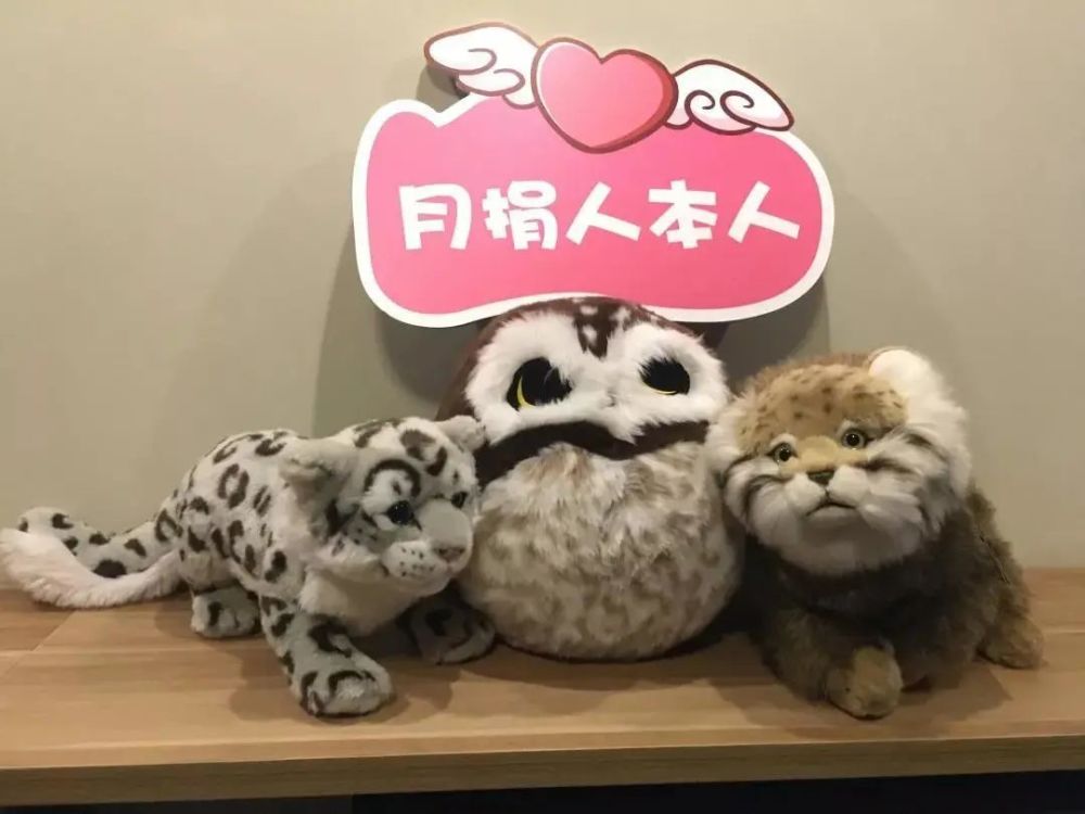 山水家园|成为山水人，留住山水家园