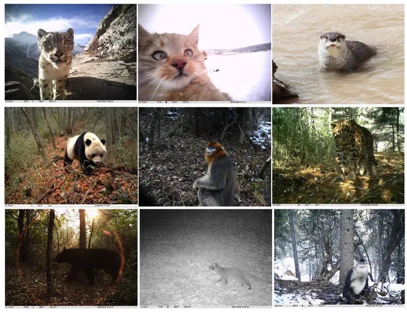 山水家园|成为山水人，留住山水家园