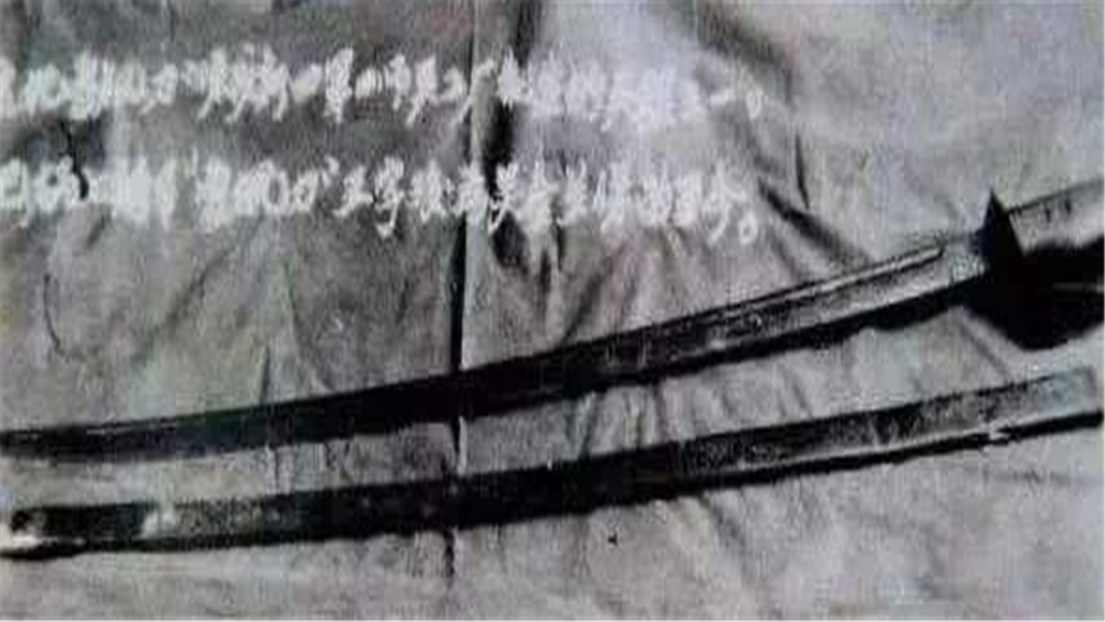 新四军高层痛定思痛,决定由彭雪枫组建一支骑兵团.