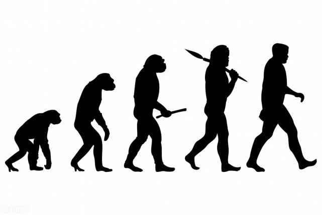 为什么人类在进化过程中其他体毛褪去了而头发越来越长