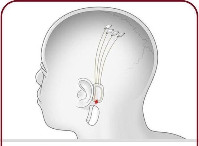 长生不老|再谈人类长生不老话题，何时能实现，采取什么途径？