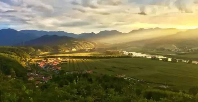 有人对笑中带泪的剧情津津乐道,有人则对"茴香村