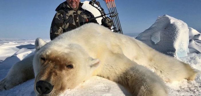 物种|过去50年，野生动物数量暴跌近70％，留给人类的时间真的不多了！