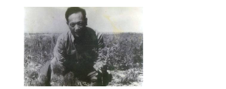 彭加木|当年彭加木在罗布泊到底发现了什么，又为什么无故失踪呢？