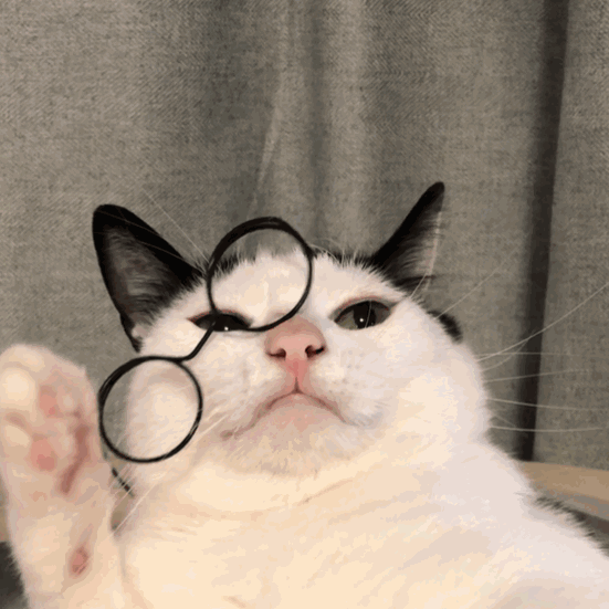 开播两集,撞梗接二连三,《九尾狐传》堪称新一届融梗大师