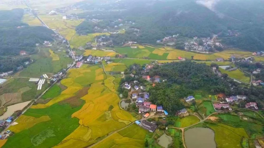 响当当的初中宁乡响当当的高中宁乡响当当的大学这是我的学历25个乡镇