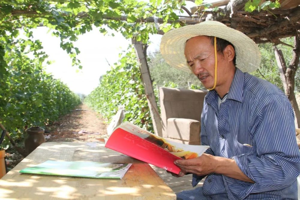 头屯河农场|头屯河农场出了位“草帽诗人”，你知道他的故事吗？