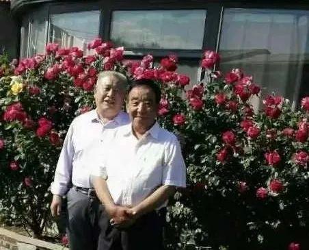 北大荒 杨延斌 知青|「“情系北大荒”征文」杨延斌：知青的后影响力