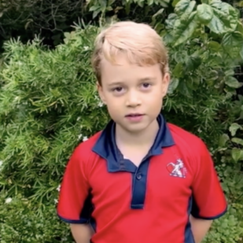 小乔治|小乔治太善良，看到物种灭绝非常难过，问爸爸为什么会这样？